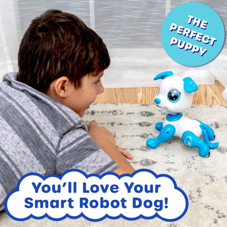 Interactive Robot Puppy Toy: Remote Control Dog with LED Eyes, Sounds & Dancing! Perfect Kids Gift Interactive Robot Puppy Toy: Remote Control Dog with LED Eyes, Sounds & Dancing! Perfect Kids Gift