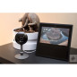 Kasa Cam KC120: Surveillez Votre Intérieur en HD, Audio Bidirectionnel, Alertes Immediates!