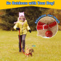 Interactive Plush Golden Retriever Toy Dog for Kids – Walking, Barking, Tail Wagging, Stretching Puppy Interactive Plush Golden Retriever Toy Dog for Kids – Walking, Barking, Tail Wagging, Stretching Puppy