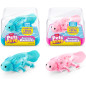 Pets Alive Robo Axolotl Jouet Électronique qui nage(Lot de 2) par ZURU Pets Alive Robo Axolotl Jouet Électronique qui nage(Lot de 2) par ZURU