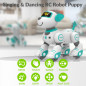 STEMTRON Robot Animal Programmable Télécommande Interactive Chien & Chat RC LED Danse Musique STEMTRON Robot Animal Programmable Télécommande Interactive Chien & Chat RC LED Danse Musique