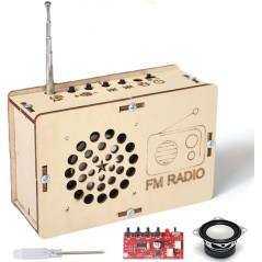 Jouets STEM & Kits Science DIY Radio pour Enfants 5-15 ans