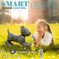 Meet VATOS, the robot dog sparking empathy and creativity in young geniuses Meet VATOS, the robot dog sparking empathy and creativity in young geniuses