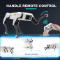Jaming Robot : le chien robotique intelligent qui apprend, joue et impressionne les enfants de 3 à 14 ans Jaming Robot : le chien robotique intelligent qui apprend, joue et impressionne les enfants de 3 à 14 ans