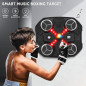 Box and Shine: Musical Wall Pad – secure mount, LED, Bluetooth, safe fun, upgrade kids’ play and coordination Box and Shine: Musical Wall Pad – secure mount, LED, Bluetooth, safe fun, upgrade kids’ play and coordination