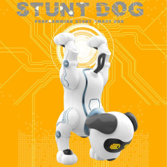 Fisca Remote Control Robotic Dog Toy with Voice & Stunt Controls for Kids
