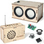 Science en musique : kit radio + haut-parleur DIY, facile, sûr, réel, cadeau idéal pour petits curieux et créatifs Science en musique : kit radio + haut-parleur DIY, facile, sûr, réel, cadeau idéal pour petits curieux et créatifs