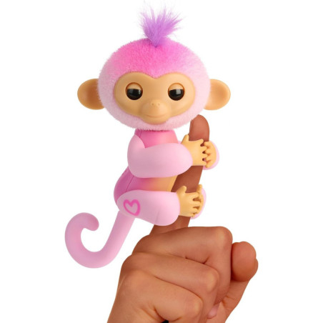 Meet Harmony, the pop star monkey who follows you, plays, sings & shares love softly everywhere