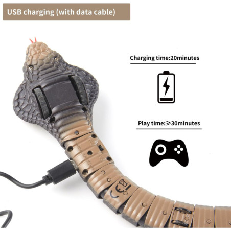 Remote in hand, unleash the king snake for jaw-dropping, realistic prank fun