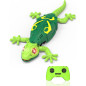 Wall-climbing robot gecko: the ultimate fun toy that sparks kids’ curiosity Wall-climbing robot gecko: the ultimate fun toy that sparks kids’ curiosity