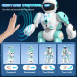An all-in-one interactive toy: talking, dancing and remote-controlled robot An all-in-one interactive toy: talking, dancing and remote-controlled robot