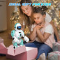 An all-in-one interactive toy: talking, dancing and remote-controlled robot An all-in-one interactive toy: talking, dancing and remote-controlled robot