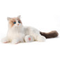 Chongker Interactive Ragdoll Cat Plush Toy with Voice Response, Realistic Heartbeat & Purring, Handmade Weighted Stuffed Ani Chongker Interactive Ragdoll Cat Plush Toy with Voice Response, Realistic Heartbeat & Purring, Handmade Weighted Stuffed Ani