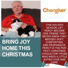 Chongker Black Cat Plush Toy with Voice, Heartbeat & Purring – Interactive