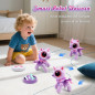 BIRANCO Robot Licorne Télécommandé pour Filles 3-6 Ans, Jouet Interactif STEM et Cadeau Surprise BIRANCO Robot Licorne Télécommandé pour Filles 3-6 Ans, Jouet Interactif STEM et Cadeau Surprise