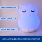 Mindfulness 'Breathing Owl' : Méditation guidée 4-7-8, veilleuse & machine sonore anti-stress 3-en-1 Mindfulness 'Breathing Owl' : Méditation guidée 4-7-8, veilleuse & machine sonore anti-stress 3-en-1