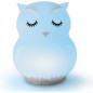 Mindfulness 'Breathing Owl' : Méditation guidée 4-7-8, veilleuse & machine sonore anti-stress 3-en-1 Mindfulness 'Breathing Owl' : Méditation guidée 4-7-8, veilleuse & machine sonore anti-stress 3-en-1