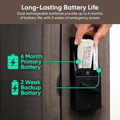Wyze Palm Lock - Serrure Intelligente à Reconnaissance Veine de Paume, Sans Clé, Wi-Fi, Alexa & Google