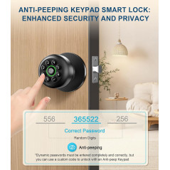 Fingerprint Smart Door Knob Lock with Keypad, Biometric & App Control, Auto Lock, Keyless - Matte Black