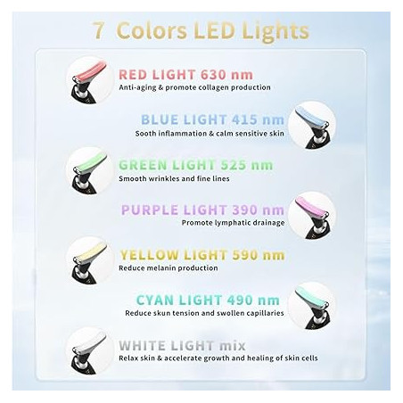 Appareil Beauté Visage Multifonction avec LED et Vibration
