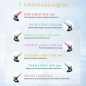 Multifunctional Facial Beauty Device with Vibration, 7-Color LED Light Therapy for Face & Neck at Home Multifunctional Facial Beauty Device with Vibration, 7-Color LED Light Therapy for Face & Neck at Home