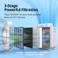 Coway Airmega AP-1512HH(W) True HEPA Air Purifier with Air Quality Monitor, Auto, Timer, Eco Mode, White