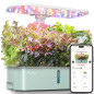 LetPot LPH-Air Smart Hydroponic Garden Kit, WiFi & APP Controlled, 24W Full Spectrum Light, 10-Pod Indoor Planter LetPot LPH-Air Smart Hydroponic Garden Kit, WiFi & APP Controlled, 24W Full Spectrum Light, 10-Pod Indoor Planter