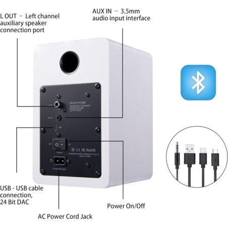 Sanyun SW208 3 Bluetooth 5.0 Bookshelf Speakers – 60W, 3D Sound