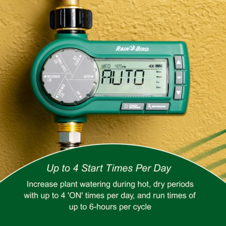 Rain Bird 1ZEHTMRP Minuteur électronique premium pour arrosage, 1 zone, batterie, entrée/sortie en laiton