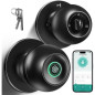 Serrure de Porte Biométrique à Empreinte Digitale avec Poignée, App Contrôle et Entrée Sans Clé