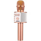 Microphone Karaoké Bluetooth BONAOK 3-en-1 Portable Rose Gold pour Fête et Smartphone PC Microphone Karaoké Bluetooth BONAOK 3-en-1 Portable Rose Gold pour Fête et Smartphone PC