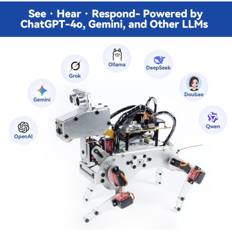 SunFounder AI Robot Kit with Raspberry Pi Zero 2 W & ChatGPT-4 Voice AI