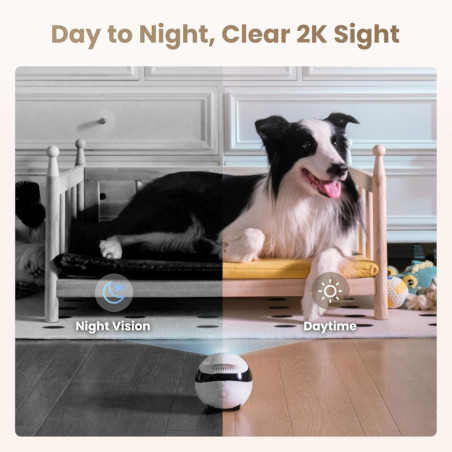 Enabot EBO Air 2 FamilyBot Indoor Security Robot Camera – 2K, Movable, Night Vision, 2-Way Talk, Auto-Recharge