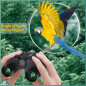 Aurosports 10x25 Compact Binoculars for Adults & Kids, Easy Focus, Low Light, Ideal for Bird Watching, Travel, and Outdoor A Aurosports 10x25 Compact Binoculars for Adults & Kids, Easy Focus, Low Light, Ideal for Bird Watching, Travel, and Outdoor A