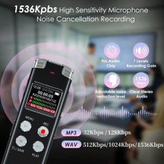 64GB Voice Activated Digital Recorder for Lectures & Meetings - EVISTR
