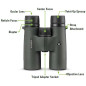 Vortex Optics Triumph HD 10x42 Binoculars - HD Optics, Fully Multi-Coated, Waterproof, Fogproof, Shockproof Vortex Optics Triumph HD 10x42 Binoculars - HD Optics, Fully Multi-Coated, Waterproof, Fogproof, Shockproof