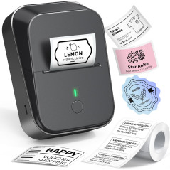 PM260 Imprimante d'étiquettes Bluetooth portable, 2 sans encre