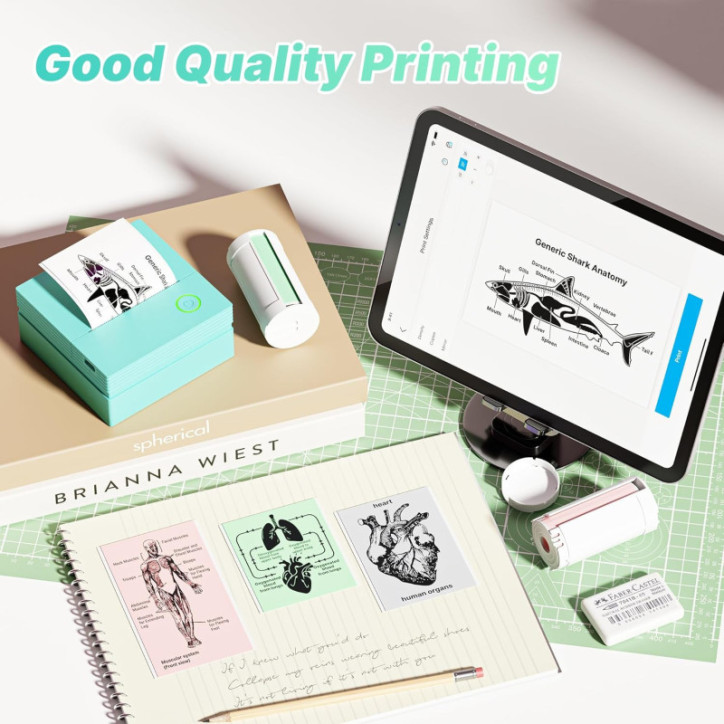 Imprimante d'autocollants PM290 portable Bluetooth avec 3 rouleaux, appli AI, pour école bureau maison, verte