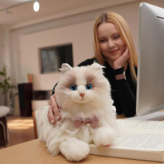 Chongker Chat Robot Interactif 24,8 avec Touch Control