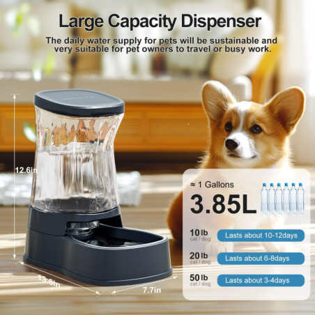 Distributeur d'eau automatique Gardner Pet en acier inoxydable, capacité 1 gallon, sans BPA, pour chiens et chats moyens et gran