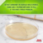 MOLD ARMOR DIY Mold Test Kit – Easy Home Mold Detection and Analysis MOLD ARMOR DIY Mold Test Kit – Easy Home Mold Detection and Analysis