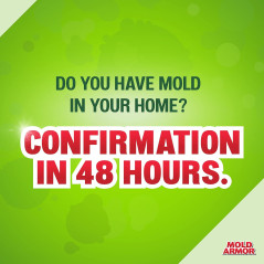 MOLD ARMOR DIY Mold Test Kit – Easy Home Mold Testing Solution