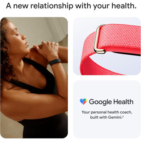 Bracelet Google Fitbit Air Performance Loop - Taille Unique Obsidian