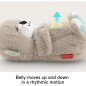 Fisher-Price Portable Peluche Sonore Otter avec Musique, Lumières et Mouvement pour Nouveau-nés 0+ mois Fisher-Price Portable Peluche Sonore Otter avec Musique, Lumières et Mouvement pour Nouveau-nés 0+ mois