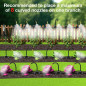 MIXC 1/4 100Ft Drip Irrigation Kit with 16 Adjustable Brass Nozzles & Bendable Rod for Garden & Lawn