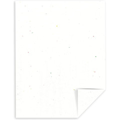 Cartes Astrobrights Stardust White 8.5x11, 250 feuilles