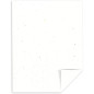 Astrobrights Stardust White Cardstock 8.5x11, 65 lb, 250 feuilles multicolores tâchetées Astrobrights Stardust White Cardstock 8.5x11, 65 lb, 250 feuilles multicolores tâchetées