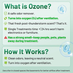 Générateur Ozone 45 000mg/h - Désodorisant Maison & Auto