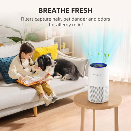 Purificateur d'air AromaRoom - Élimine fumée, pollen, pellicules et poils pour la maison