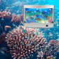 Tokenkuko Mini Aquarium Décoratif avec Poissons Artificiels Mouvants, Veilleuse Tropicale (US Plug) Tokenkuko Mini Aquarium Décoratif avec Poissons Artificiels Mouvants, Veilleuse Tropicale (US Plug)